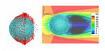 Lattice-Boltzmann Simulation: Influence of inter-particle collisions on particle clustering (left: without; right: with collisions; StK = 10; αP = 0.02)
